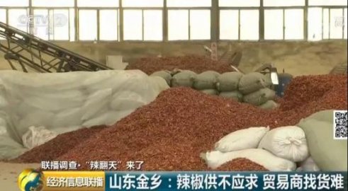 “辣翻天”来袭，10天涨3块却令商贩发愁，啥情况？